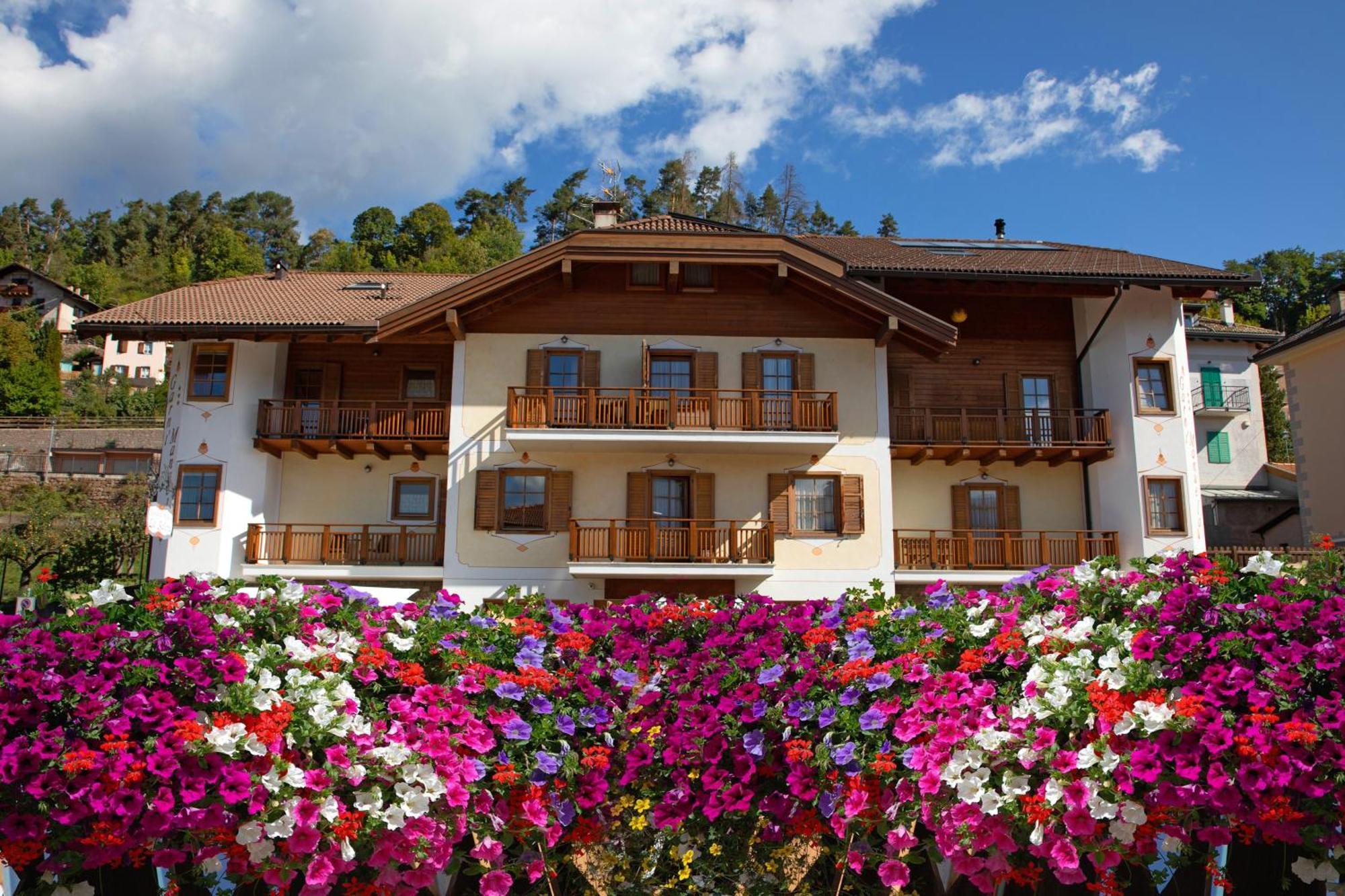 Residence Garni Manuela Cavalese Exteriör bild